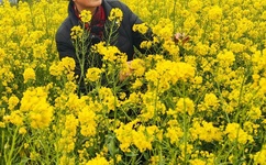 qvod快播在线观看